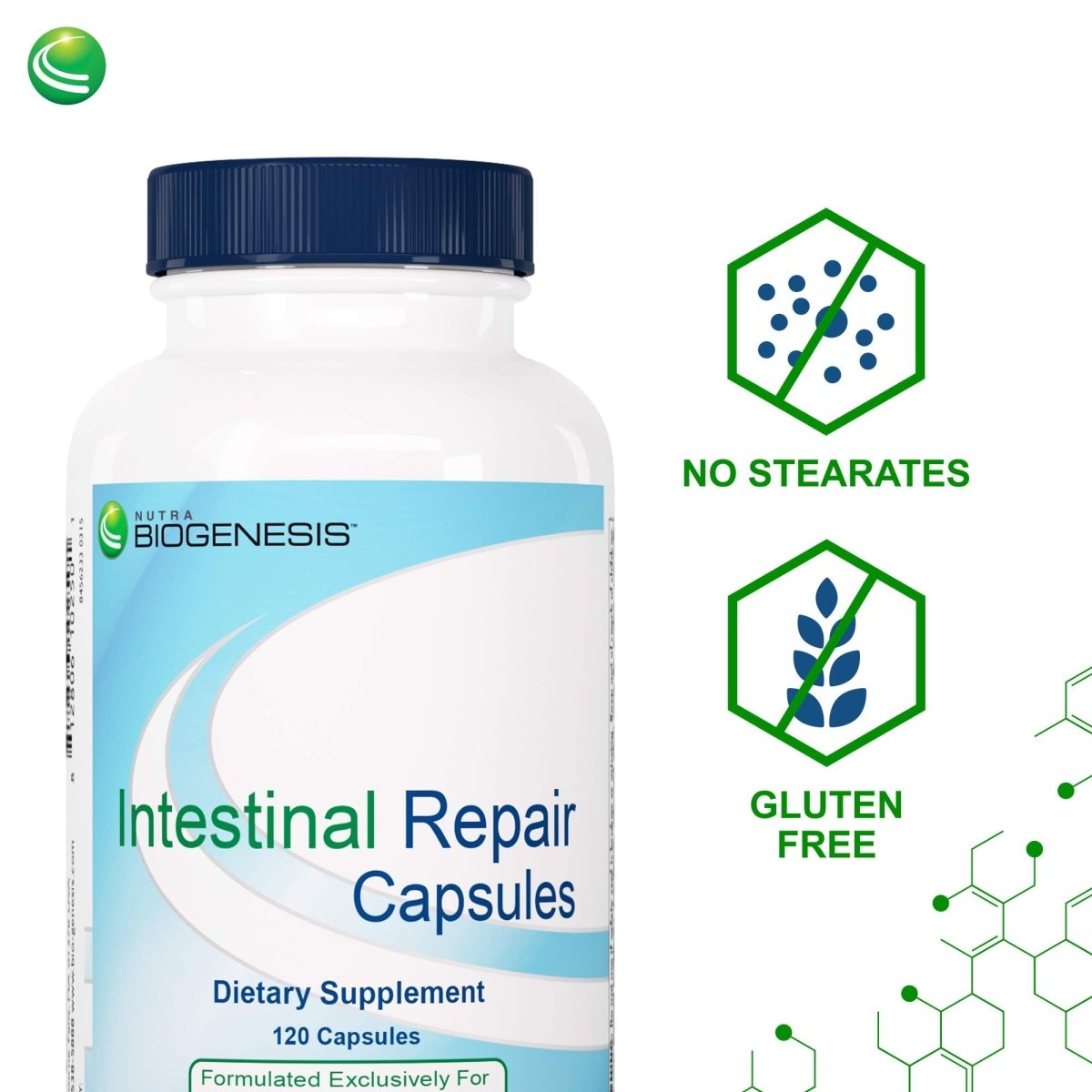 Nutra BioGenesis - Intestinal Repair Capsules -  120 Capsules  03311