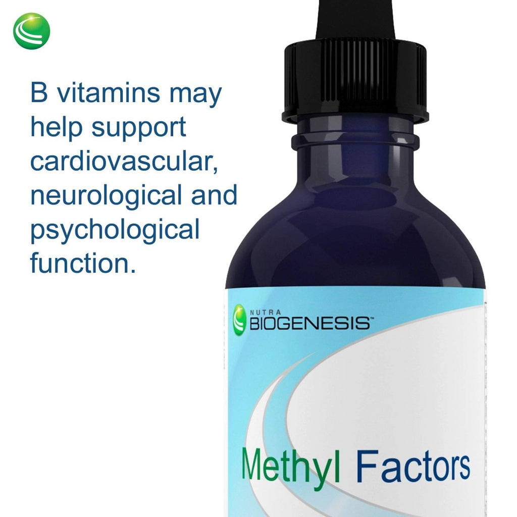 Nutra BioGenesis Methyl Factors - B12 and Methyl Folate for Brain and Cardiovascular Health - Berry Flavor, 2 Ounce