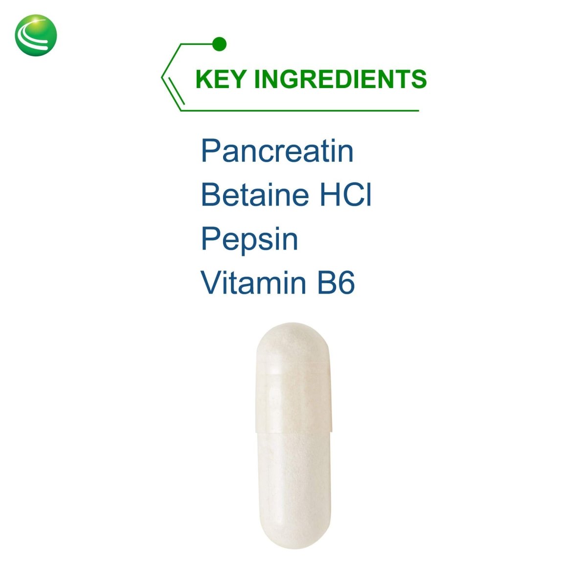 Nutra BioGenesis - PanZyme - B Vitamins, Betanine HCl, and Pancreatin as Digestive Enzymes for Digestive Health - 180 Capsules