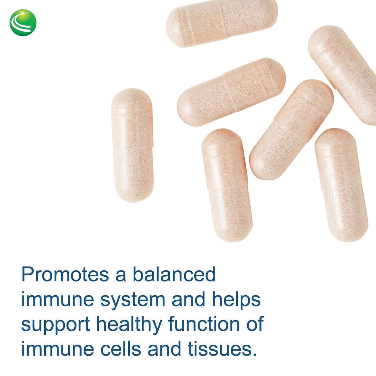 Nutra BioGenesis - Sterol 117 - Plant Sterols and Pine Bark Extract to Help Support Immunity, Urinary Tract Health and Cholesterol Already Within Normal Range - 30 Capsules