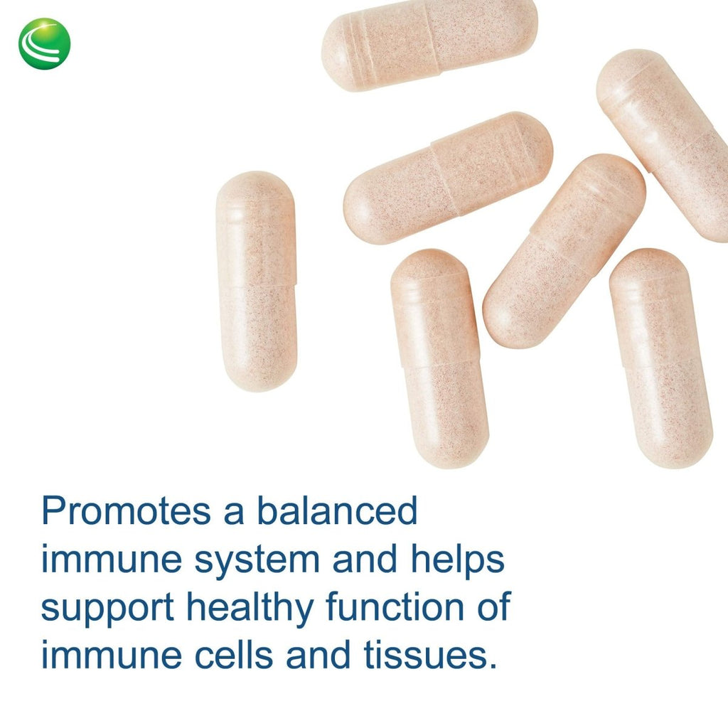 Nutra BioGenesis - Sterol 117 - Plant Sterols and Pine Bark Extract to Help Support Immunity, Urinary Tract Health and Cholesterol Already Within Normal Range - 60 Capsules