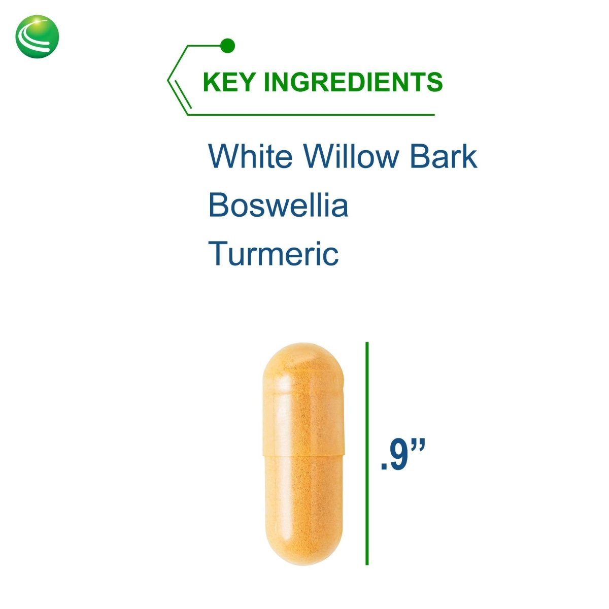 Nutra BioGenesis - White Willow Forte - 120 Capsules  01232