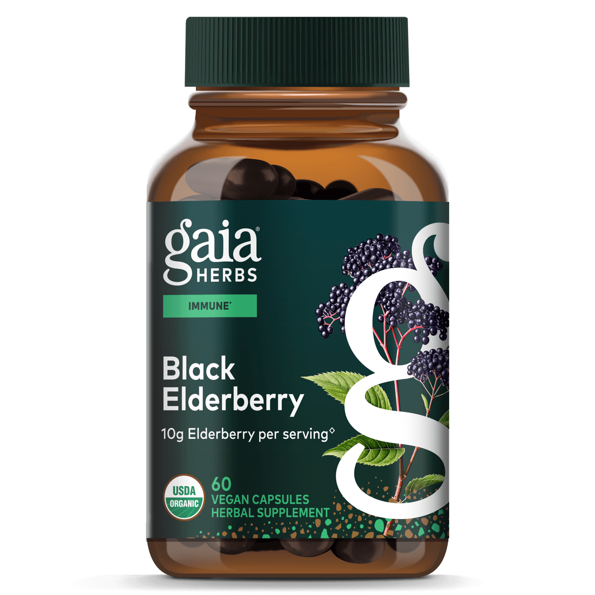Gaia Herbs Black Elderberry - Daily Immune Support Supplement to Help Maintain Well-Being - with Black Elderberries and Acerola Fruit for Antioxidant Support - 60 Vegan Capsules (30-Day Supply)