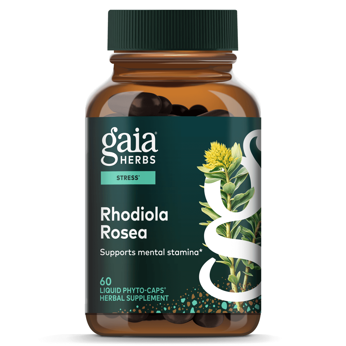 Gaia Herbs Rhodiola Rosea - Stress Support Supplement Traditionally for Supporting Healthy Stamina and Endurance - with Siberian Rhodiola Root Extract - 60 Vegan Liquid Phyto-Capsules (30-Day Supply)