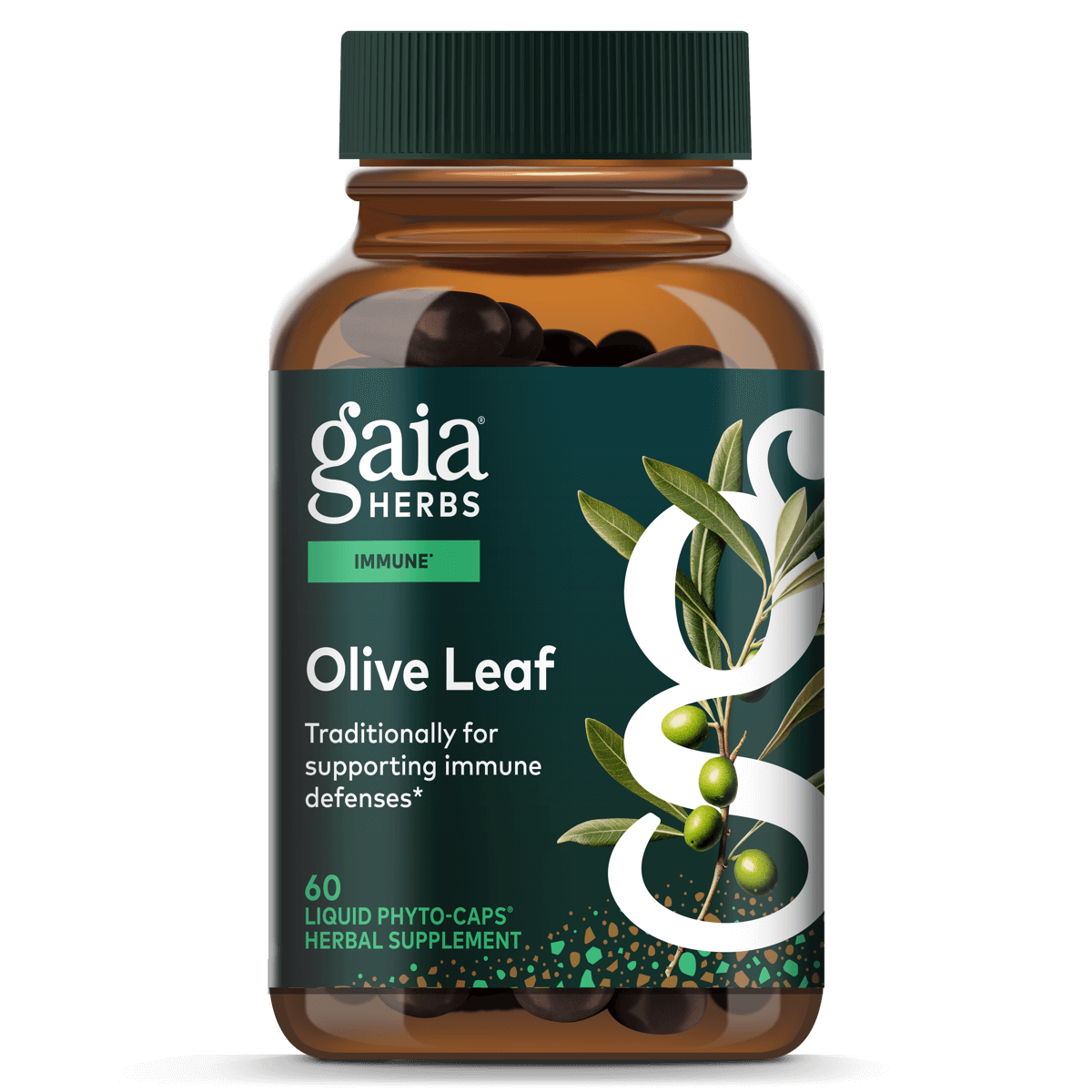 Gaia Herbs Olive Leaf - Traditional Immune Health Support - Immune System Supplement with Olive Leaf Extract and Oleuropein - 120 Vegan Liquid Phyto-Caps