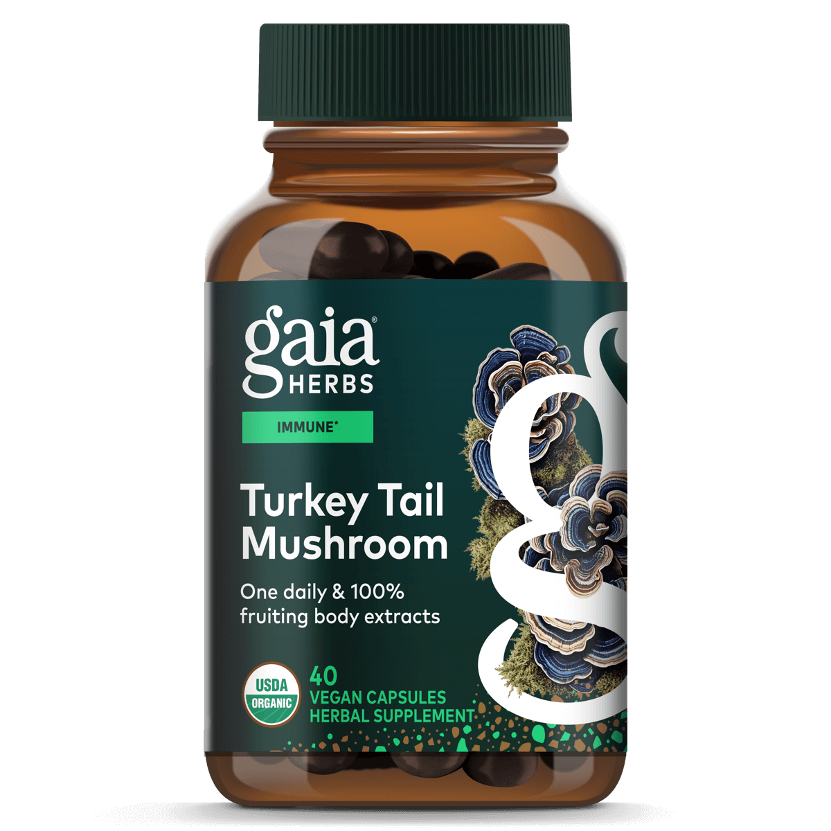 Gaia Herbs Turkey Tail Mushroom - Immune Support Supplement to Help Maintain Liver Health - with Organic Turkey Tail Mushroom Fruiting Body Extract - 40 Vegan Capsules