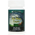 Nuherbs Herbal Times Pe Min Gan Wan 100 Teapills