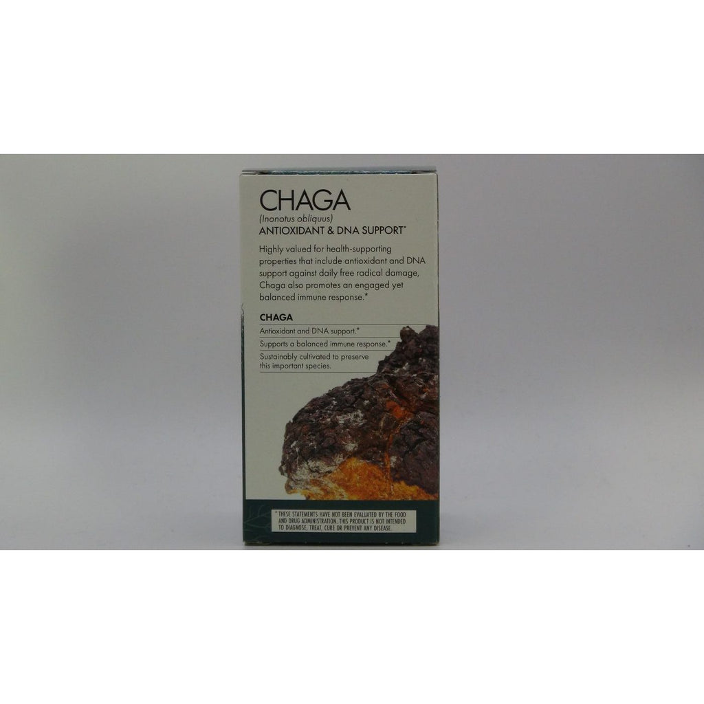 Host Defense Chaga 120 Vcaps