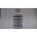 Vital Nutrients Astragalus Root Extract 300 mg 90 Vcaps