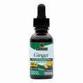 Nature's Answer - Ginger Root Organic Alcohol 250 mg. - 2 fl. oz.