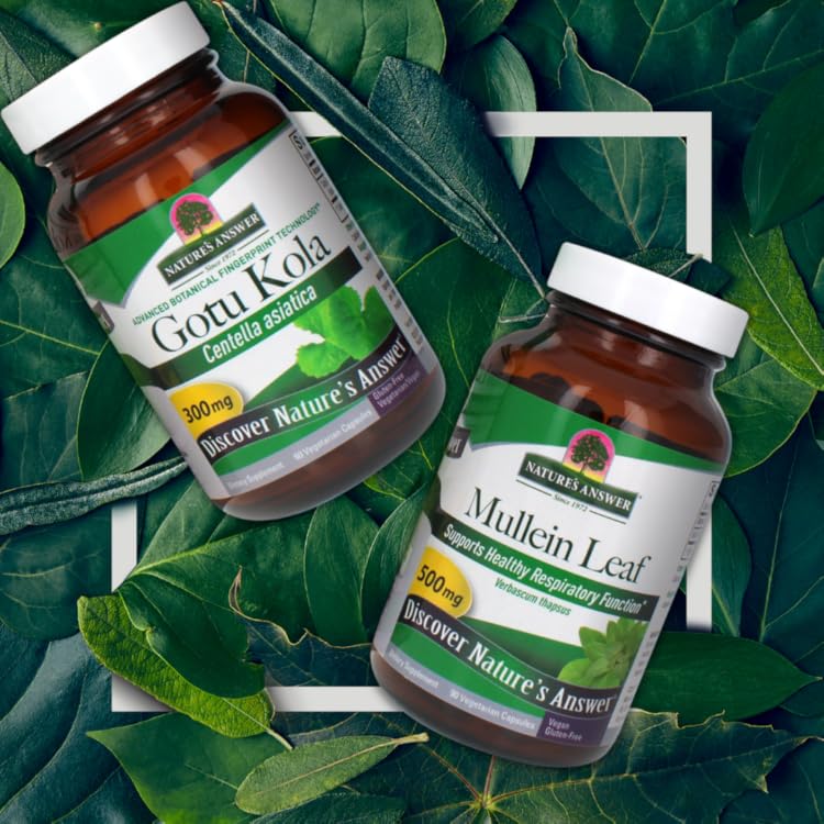 Nature's Answer - Burdock Root Single Herb Supplement - 90 Vegetarian Capsules