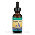 Herbs For Kids Astragalus Extra Alcohol Free 1oz   10155