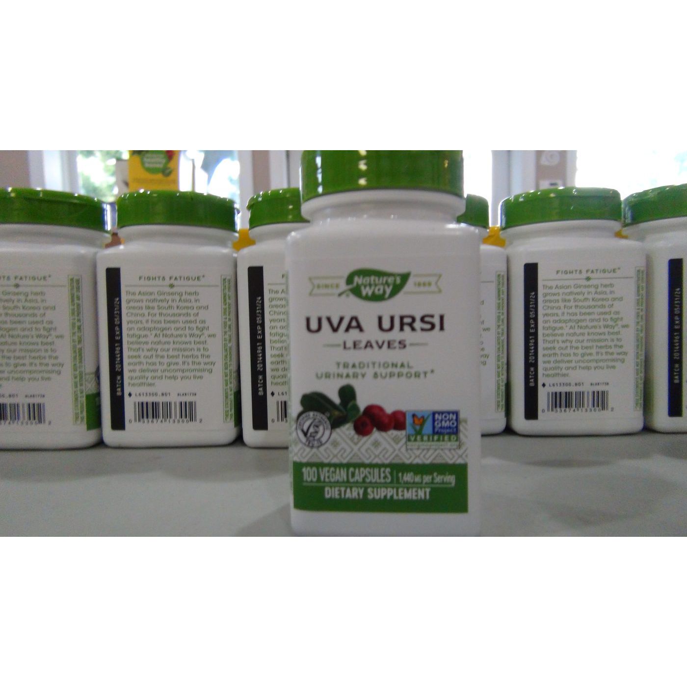 Nature's Way Uva Ursi Leaves 100 Vcaps - 2 Pack
