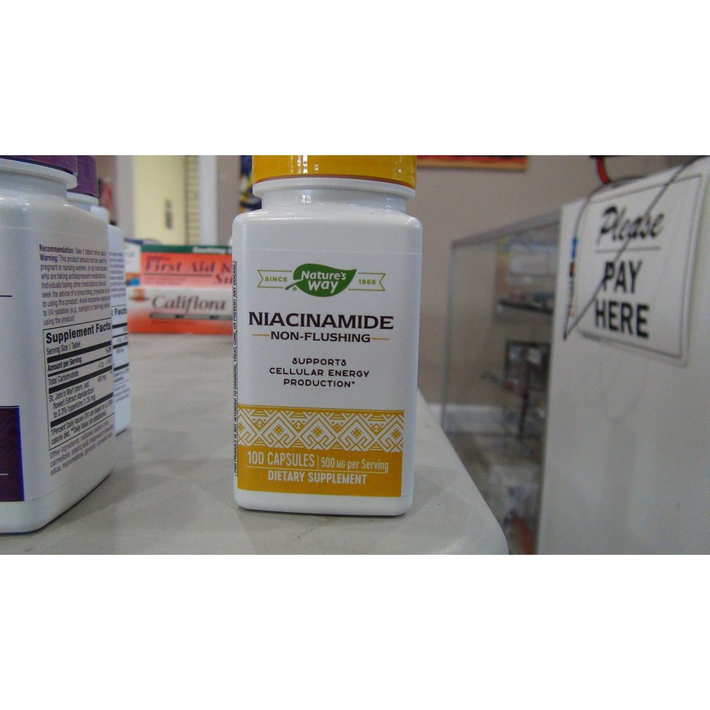 Nature's Way Niacinamide 100 Capsules - 4 Pack