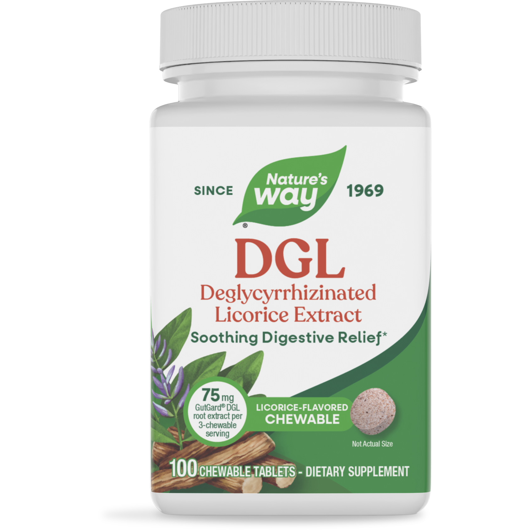 Nature's Way DGL 100 Chewable Tablets - 2 Pack