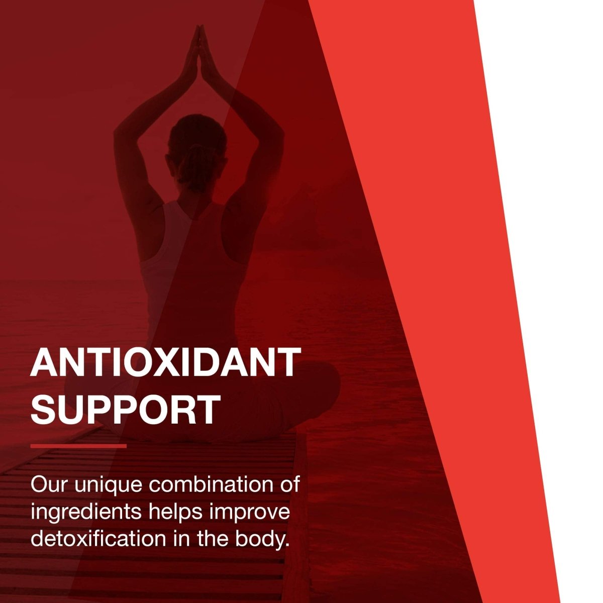 Protocol For Life Balance A-Biotic 60 Softgels P1811