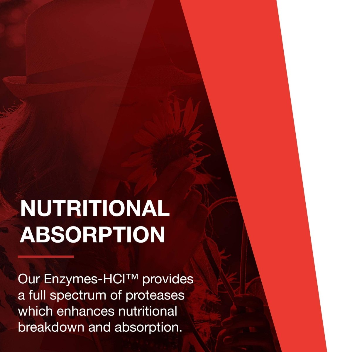 Protocol for Life Balance Enzymes-HCL 120 Capsules - P2963
