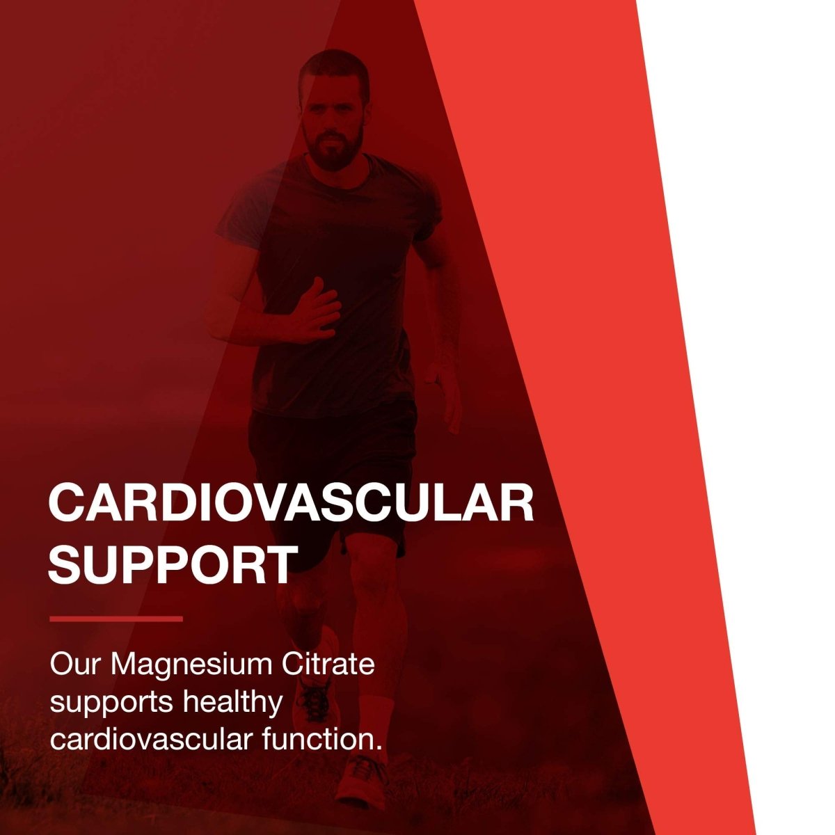 Protocol for Life Balance Magnesium Citrate 400mg 100 Tablets - P1290