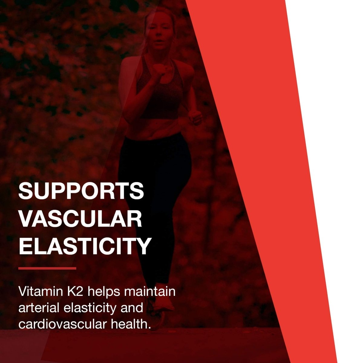 Protocol For Life Balance MK-7 Vitamin K2 160 mcg 60 Tablets - P0993