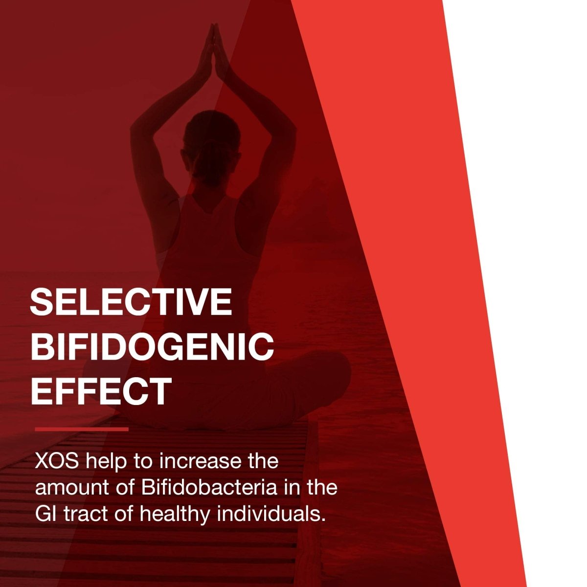 PROTOCOL FOR LIFE BALANCE - Prebiotic Powder XOS - Helps GI Tract, Help Nourish Intestinal Flora - 3 Ounces Powder