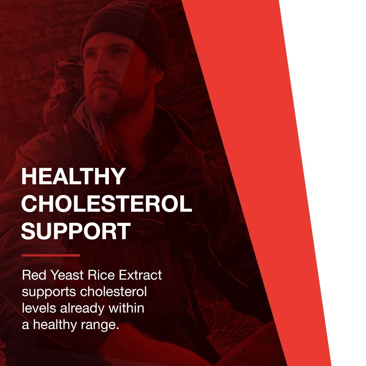 Protocol for Life Balance Red Yeast Rice Plus 600mg 90 Vcaps - P3321