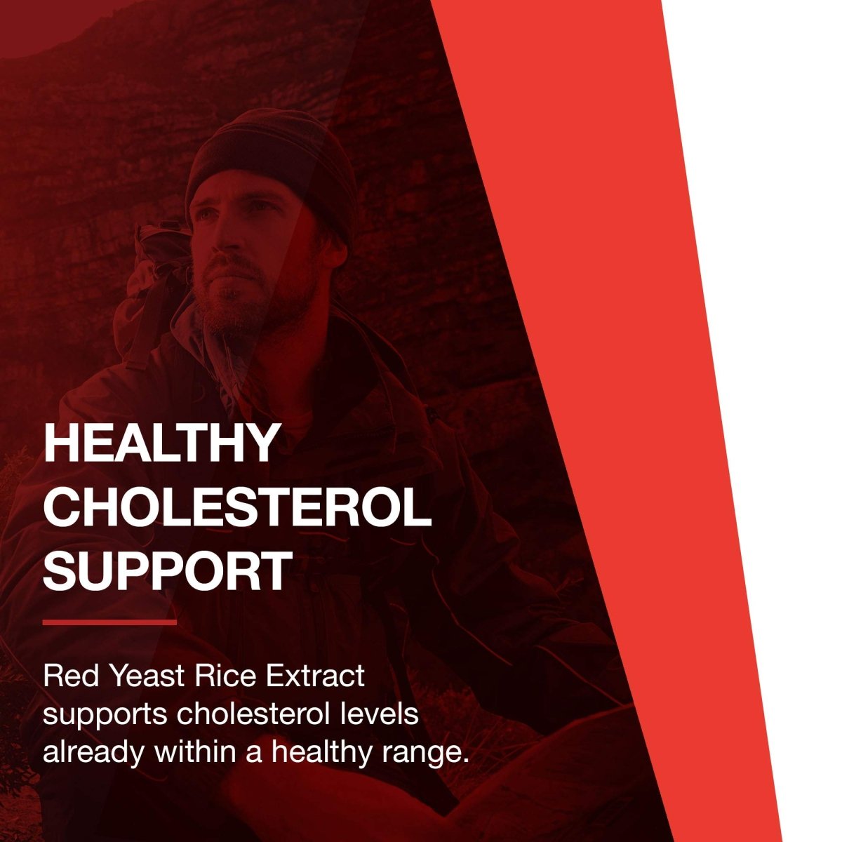 Protocol for Life Balance Red Yeast Rice Plus 600mg 90 Vcaps - P3321