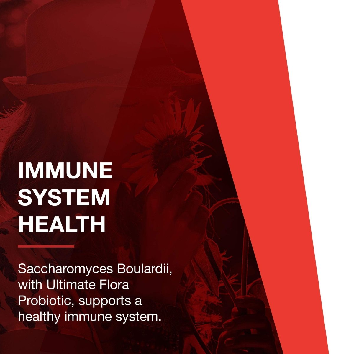 Protocol For Life Balance Saccharomyces Boulardii 60Cap - P2933
