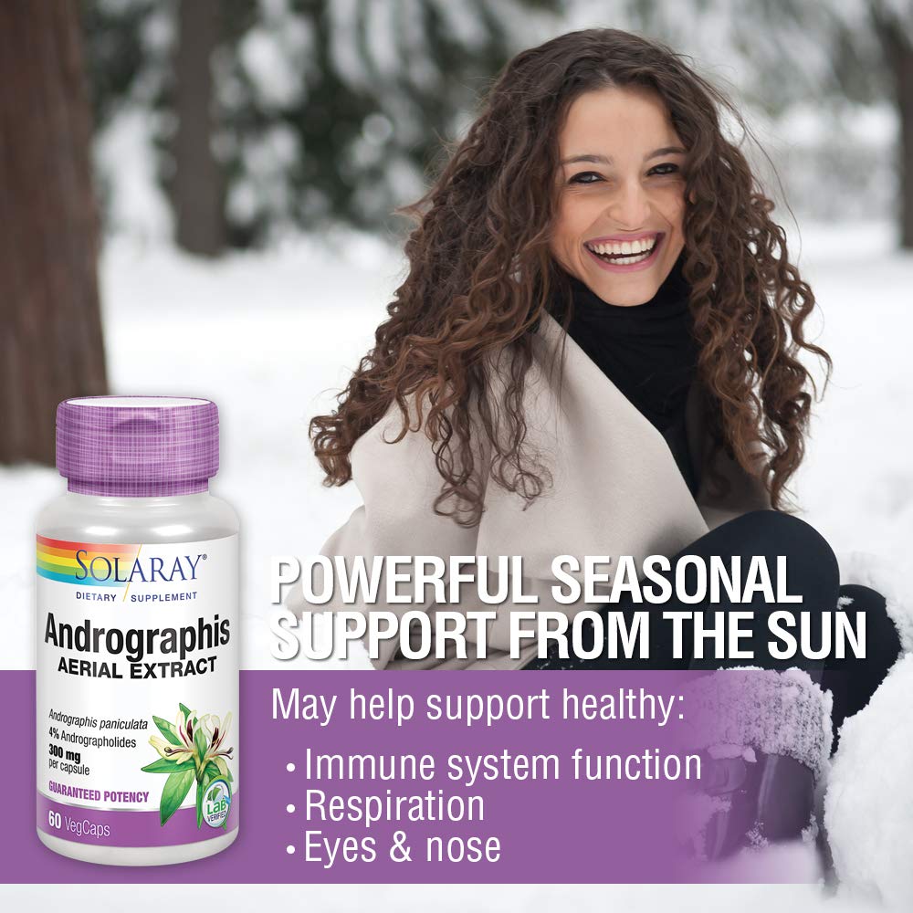 Solaray Andrographis Aerial Extract 600 mg - Immune & Respiratory Support - 60 VegCaps