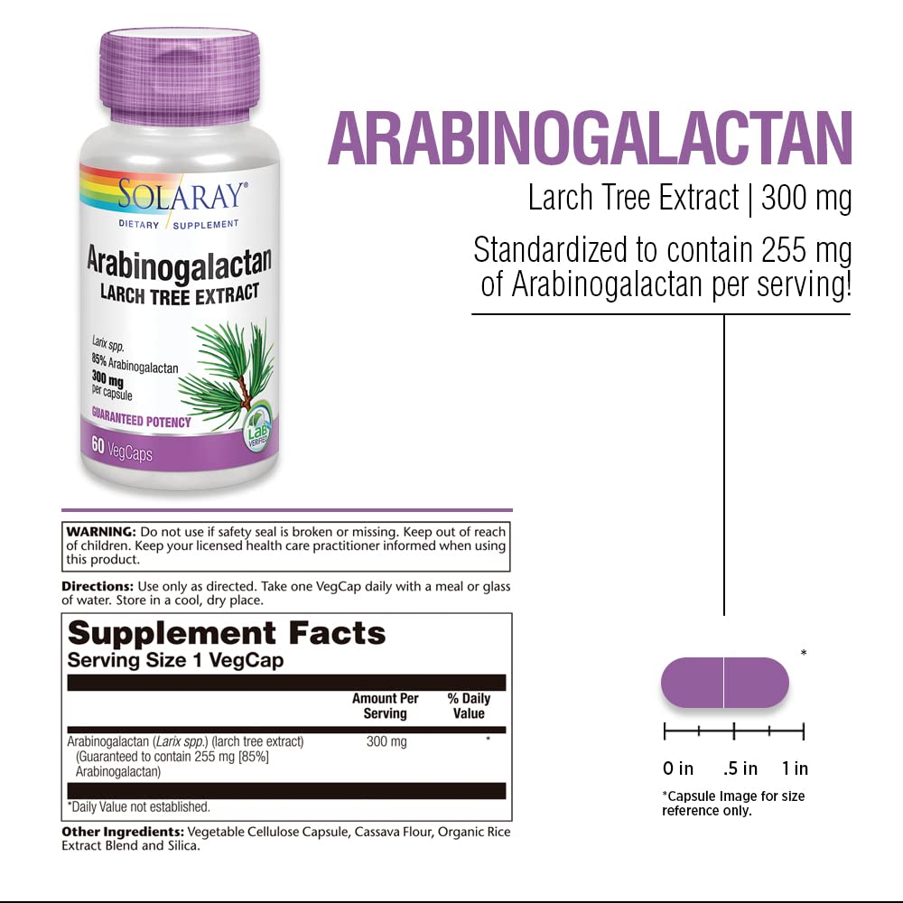 SOLARAY Arabinogalactan, Larch Tree Extract 300mg - 60 VegCaps