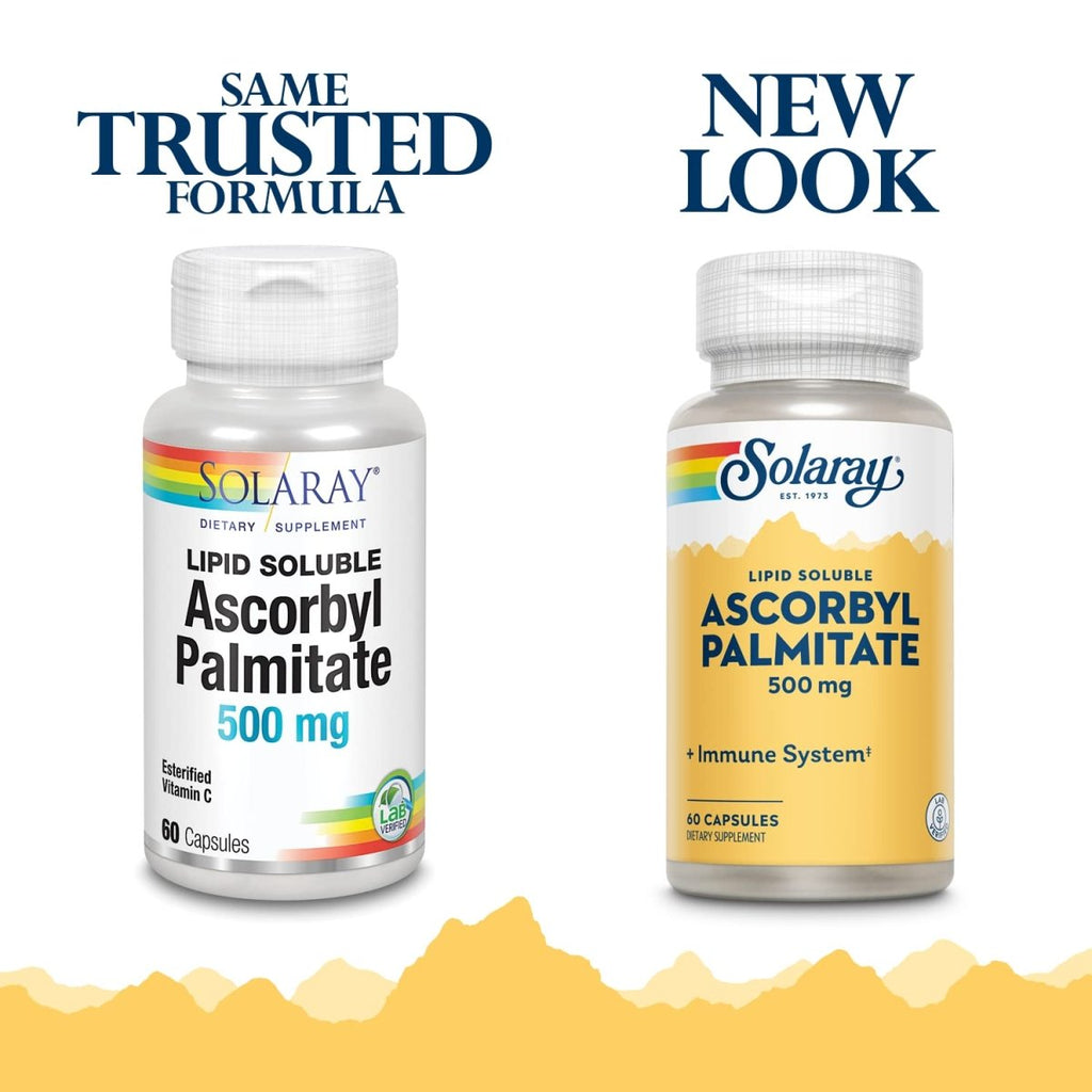 SOLARAY Ascorbyl Palmitate Vitamin C 500mg | Antioxidant, Immune Function, Bone, Joint & Nerve Health Support | 60 Caps