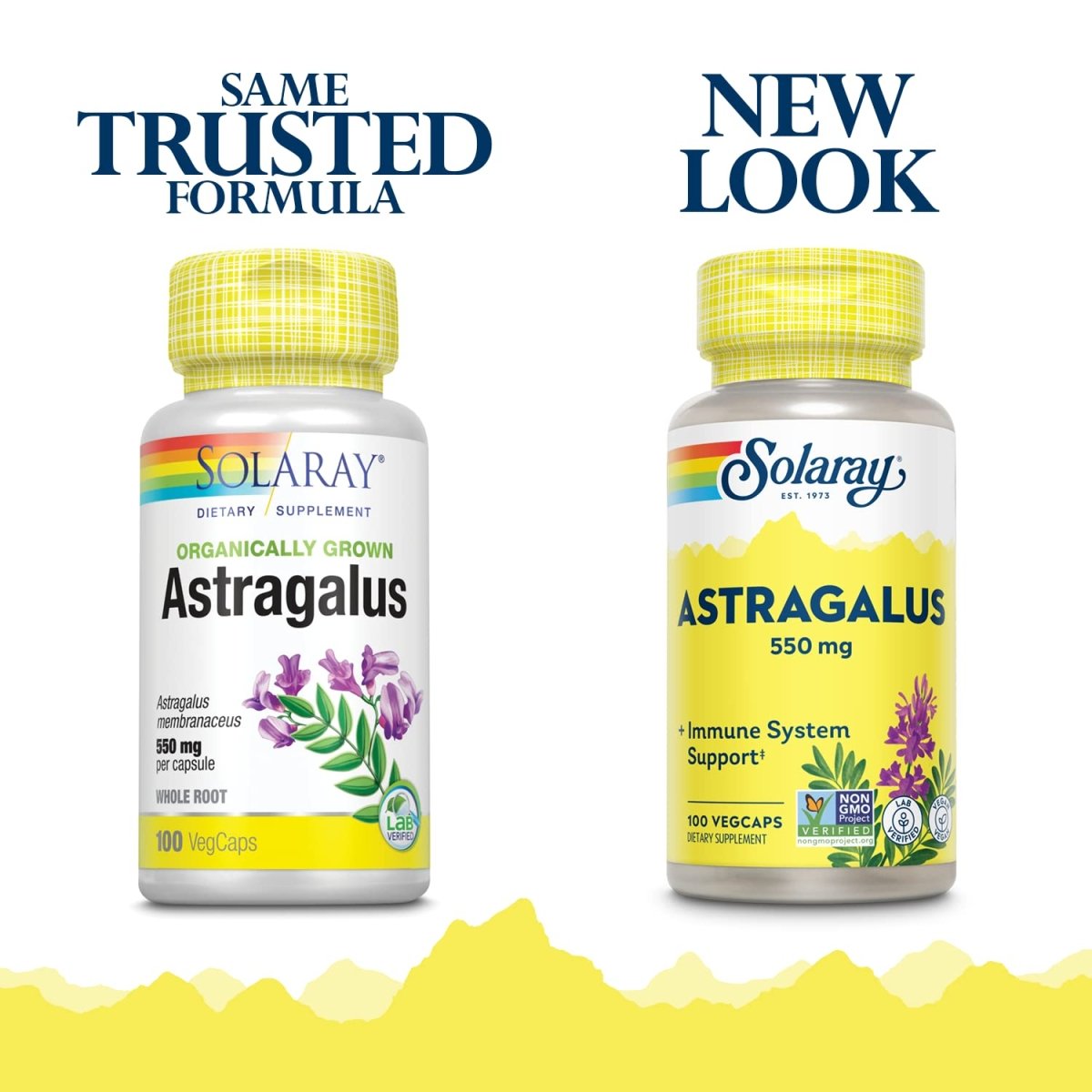 SOLARAY Astragalus Root 550mg | Healthy Immune Function & Stress Support | Adaptogen Herb | Non-GMO & Vegan | 100 VegCaps