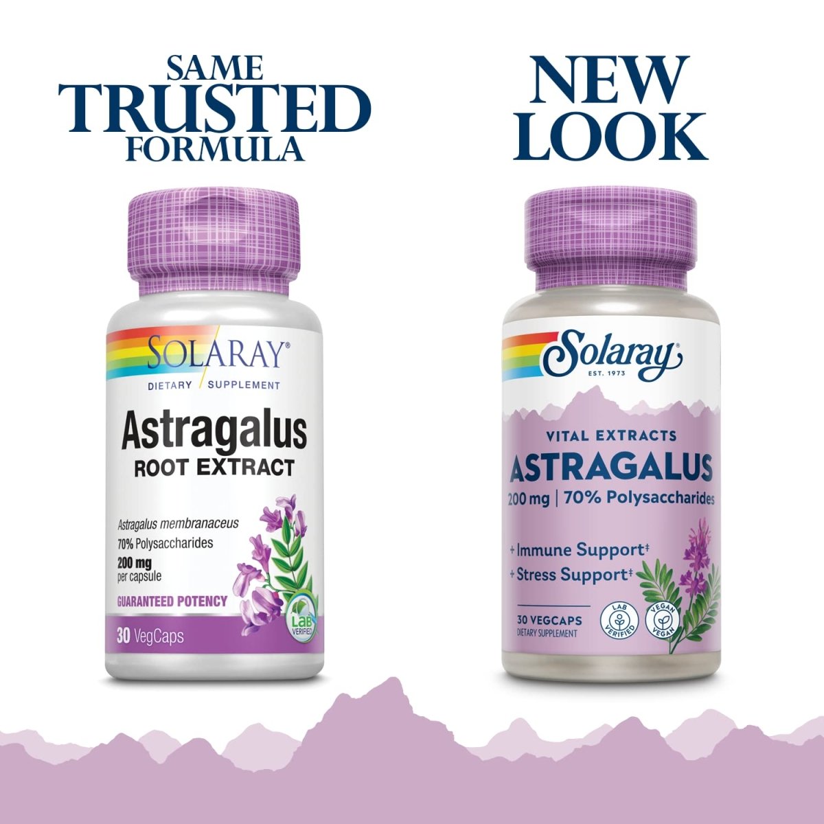 SOLARAY Astragalus Root Extract 200 mg | Adaptogenic & Healthy Immune Function & Stress Support | Non-GMO | 30 VegCaps