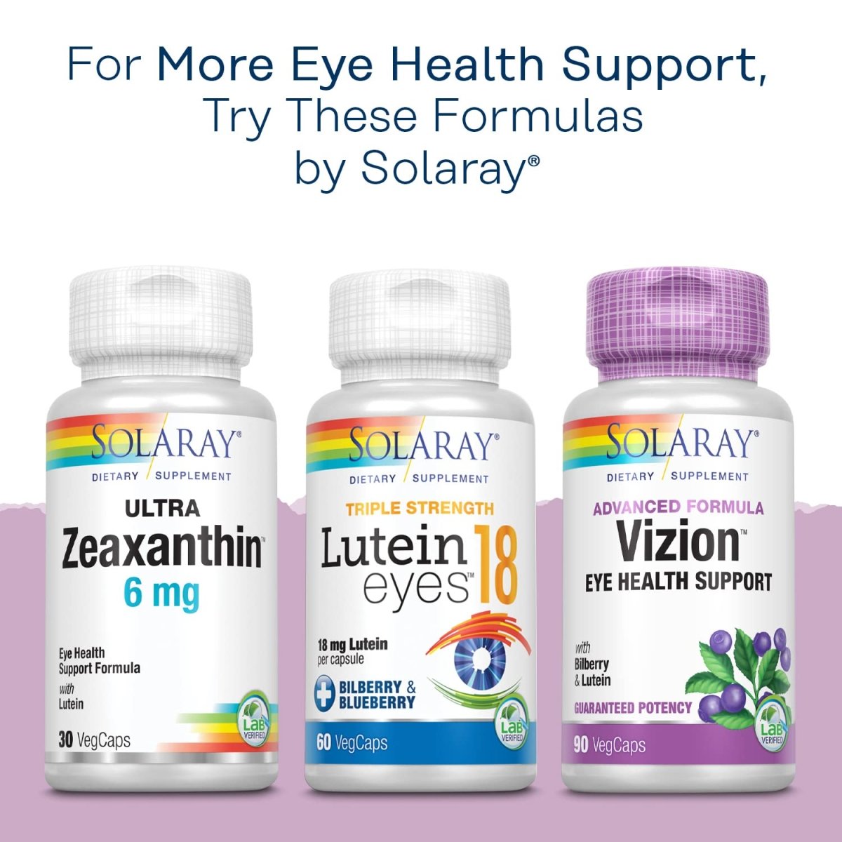SOLARAY Bilberry Berry Extract 60 mg Per Capsule, Powerful Antioxidant, Guaranteed Potency for Healthy Vision & Circulation Support 120 VegCaps