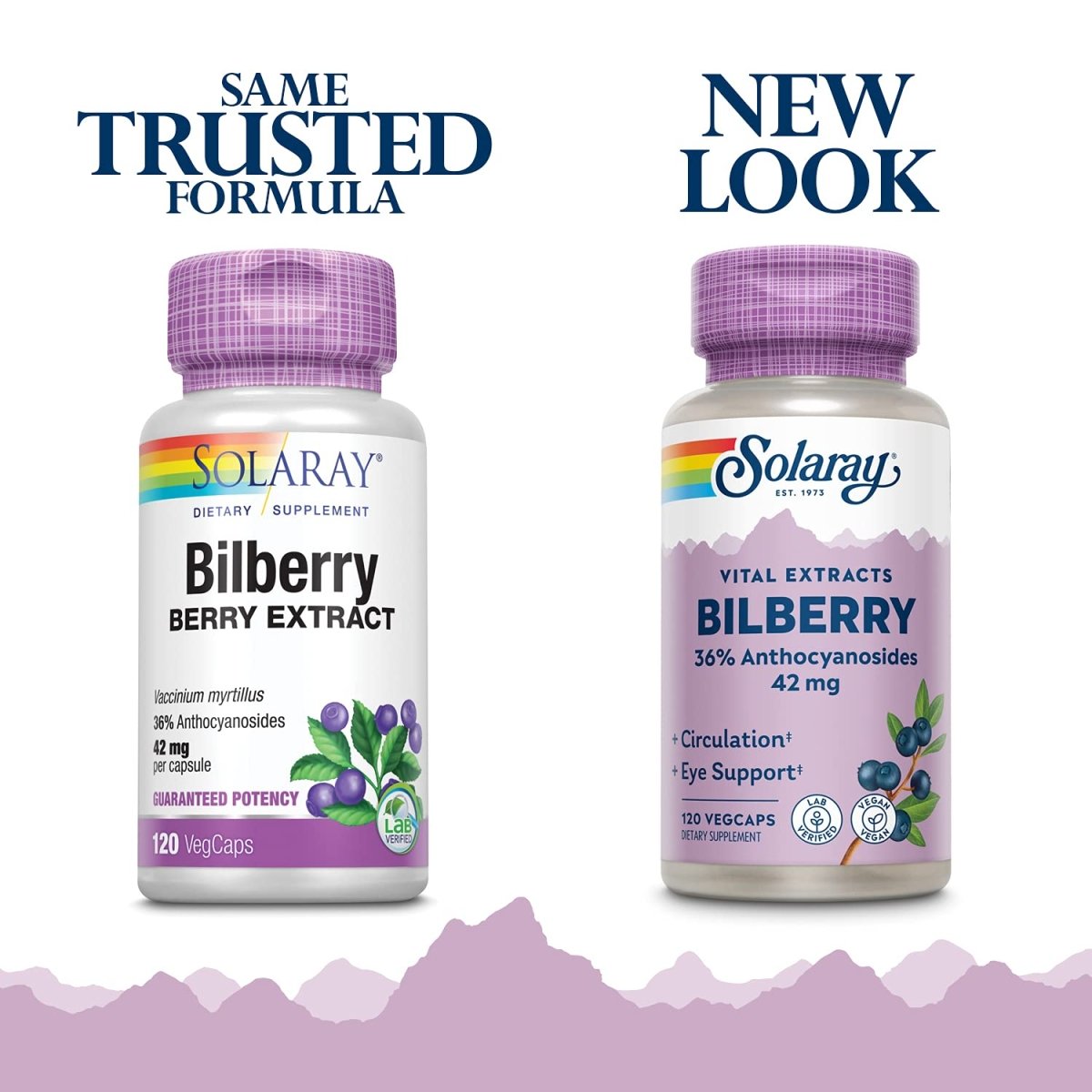 SOLARAY Bilberry Berry Extract - Eye Health & Circulation Support - 120 VegCaps