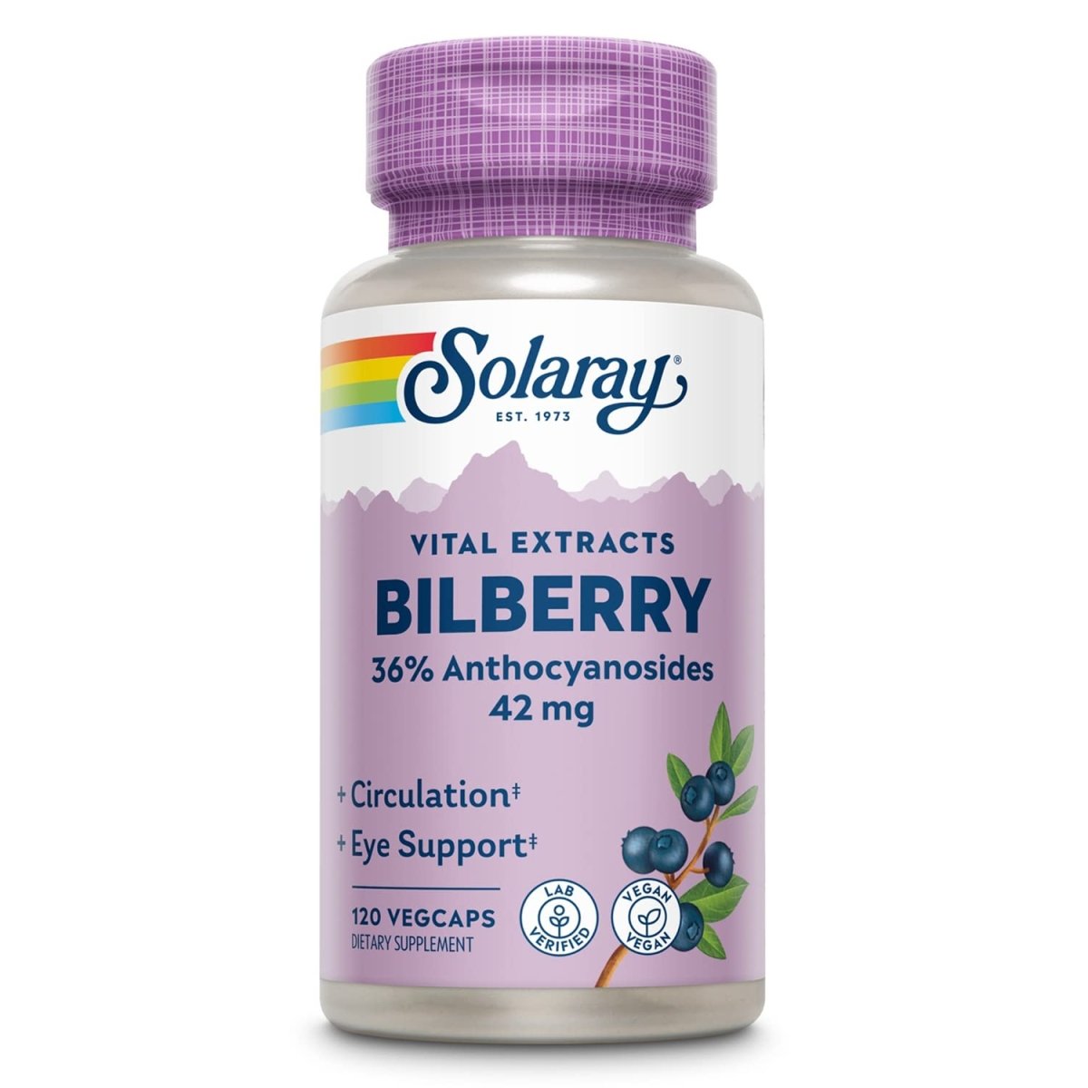 SOLARAY Bilberry Berry Extract - Eye Health & Circulation Support - 120 VegCaps