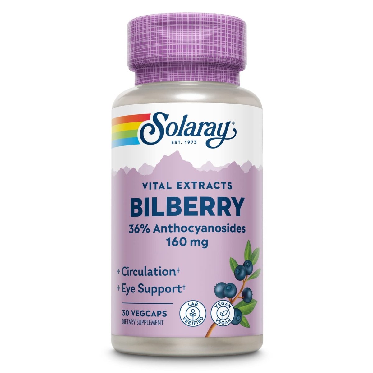 SOLARAY Bilberry Extract 160 mg VegCaps | Eye Health & Circulation Support | 36% Anthocyanosides with Blueberry | Vegan | 30 Count