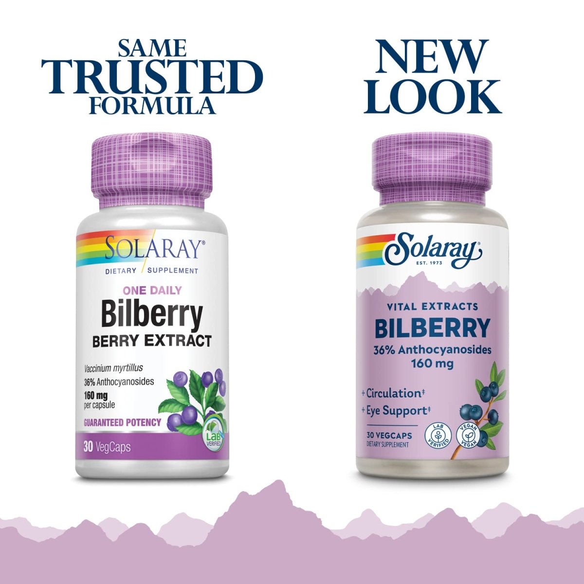 SOLARAY Bilberry Extract 160 mg VegCaps | Eye Health & Circulation Support | 36% Anthocyanosides with Blueberry | Vegan | 30 Count