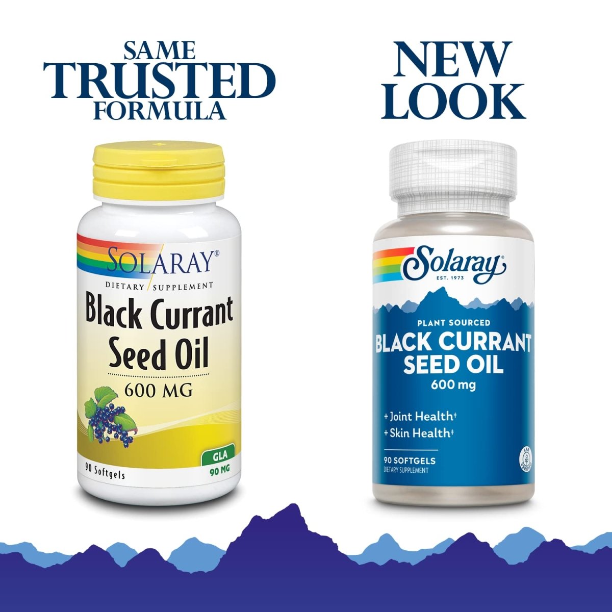 SOLARAY Black Currant Seed Oil 600 mg Gamma Linolenic Acid (GLA) Healthy Skin, Hair, Joints, Vascular & Immune Function Support 90 Softgels