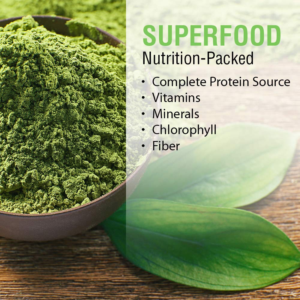 SOLARAY Broken Cell Chlorella 410 mg | Nutrient-Rich Superfood w/Naturally Occurring Protein, Vitamins, Minerals, Chlorophyll | Non-GMO | 100 VegCaps