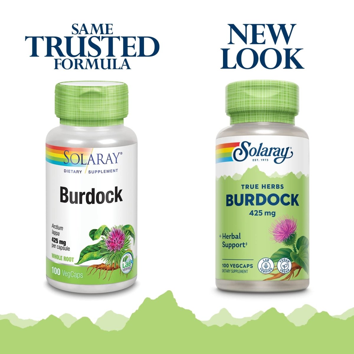 SOLARAY Burdock Root 425 mg | Healthy Liver, Kidney, Digestion, Circulation, Joint & Skin Support | Antioxidant Activity | Non-GMO | 100 VegCaps
