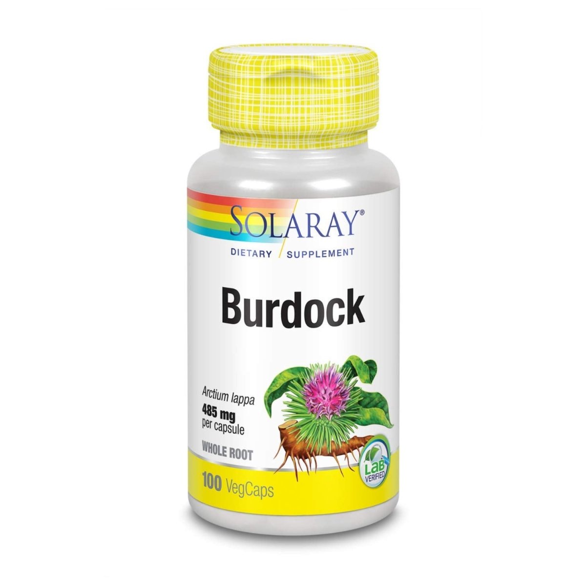 SOLARAY Burdock Root 485 mg | Healthy Liver, Kidney, Digestion, Circulation, Joint & Skin Support | Non-GMO & Vegan | 100 VegCaps