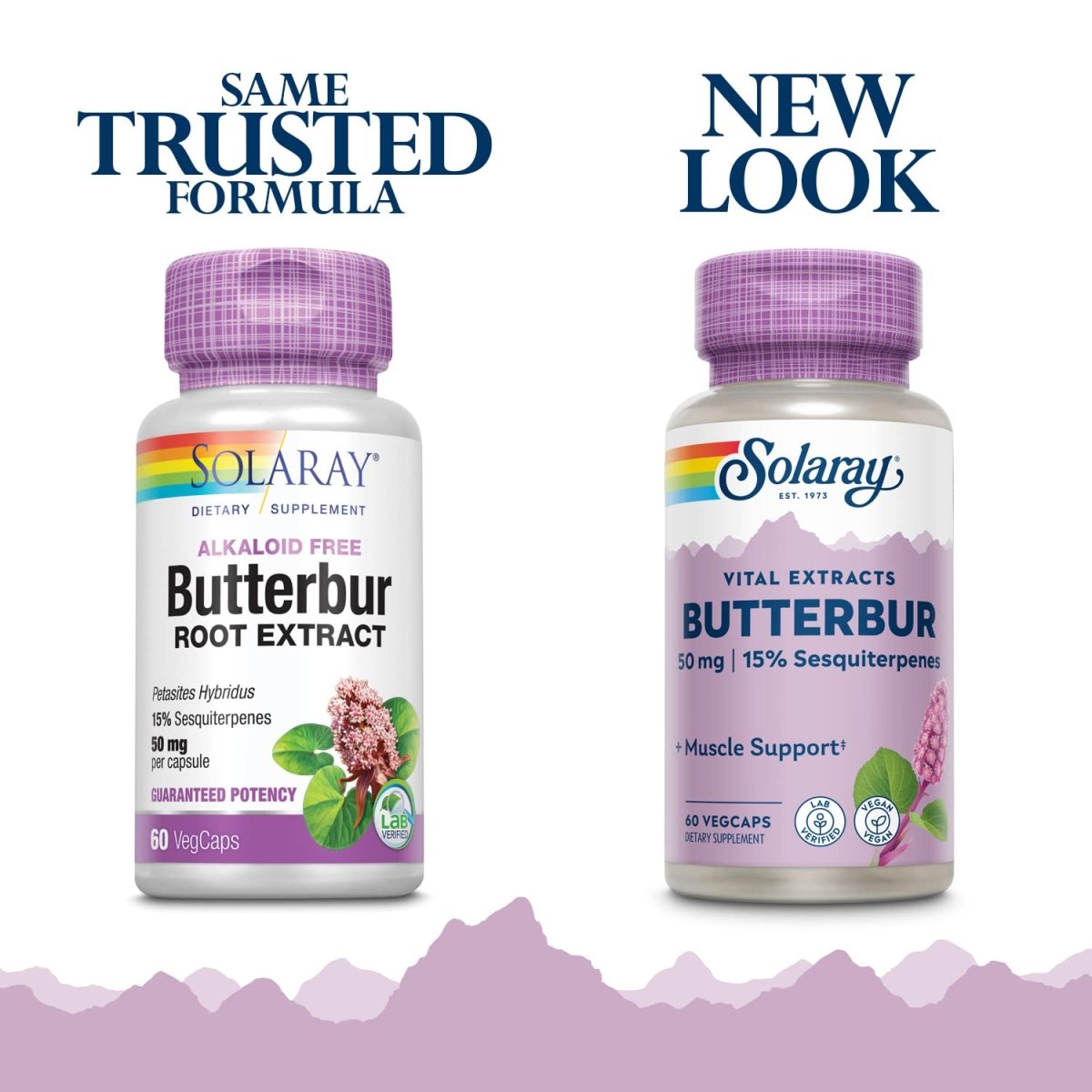 SOLARAY? Butterbur Root Extract 50mg | Support for Healthy Vascular Smooth Muscle, Blood Flow, Respiratory Function & Urinary System Health | 60ct 11664