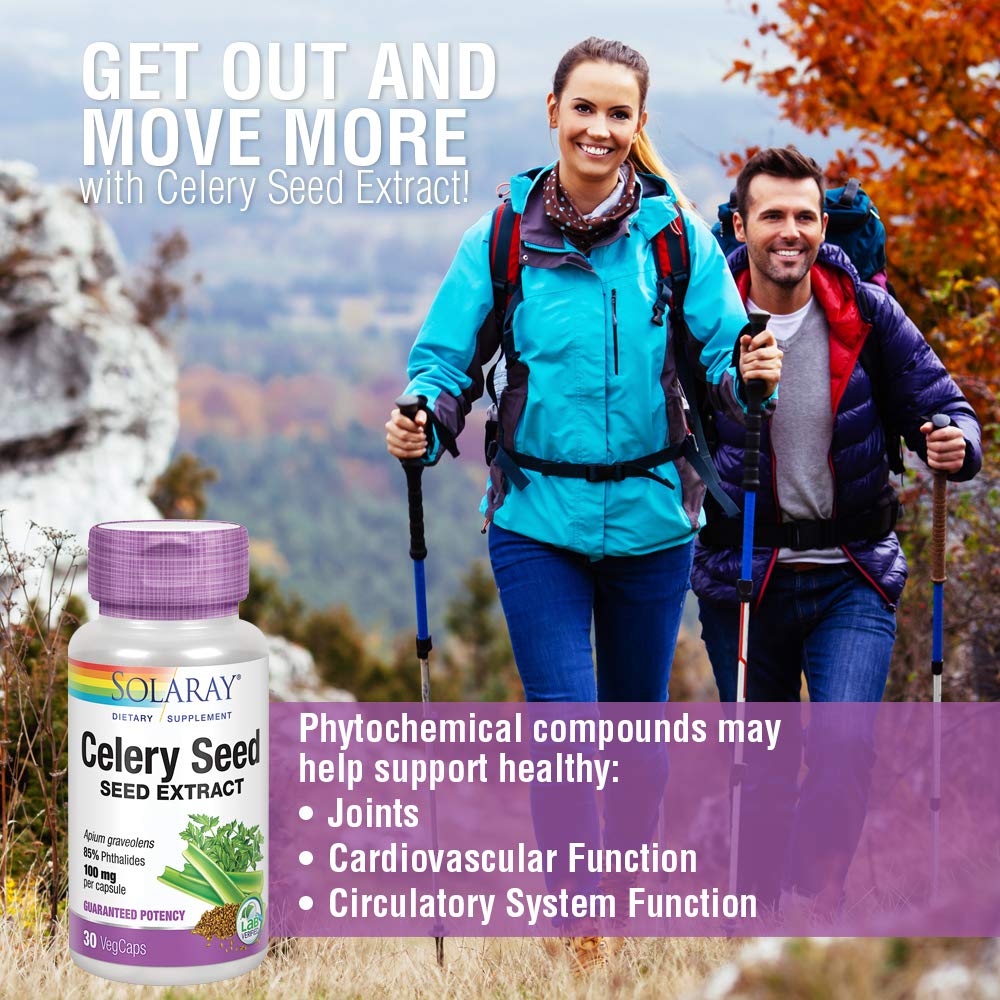SOLARAY Celery Seed Extract 100 mg | 85% Phthalides | Overall Joint Health Support | Non-GMO, Vegan | 30 VegCaps