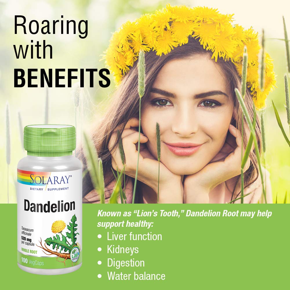SOLARAY Dandelion Root 1040mg | Healthy Liver, Kidney, Digestion & Water Balance Support | Whole Root | Non-GMO, Vegan & Lab Verified | 100 VegCaps