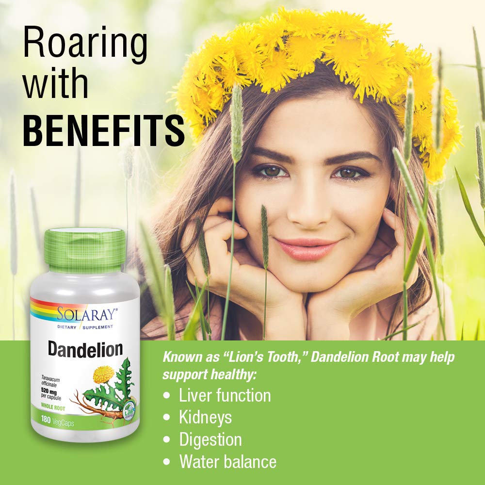 SOLARAY Dandelion Root 1040mg | Healthy Liver, Kidney, Digestion & Water Balance Support | Whole Root | Non-GMO, Vegan & Lab Verified | 180 VegCaps