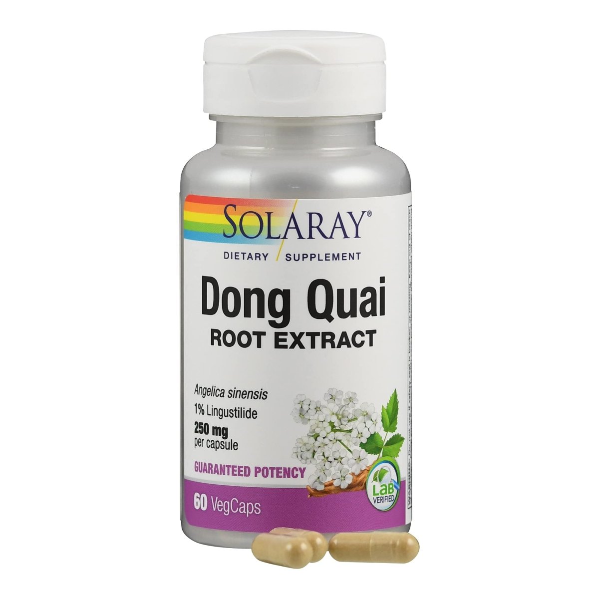 Solaray Dong Quai Root Extract - 60 Count
