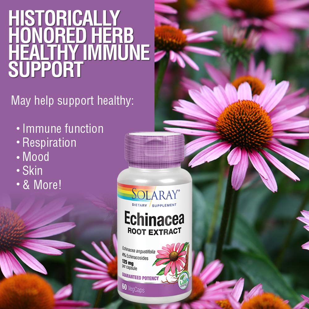 SOLARAY Echinacea Angustifolia Root Extract 125 mg | Healthy Immune & Respiratory Function Support | 60 VegCaps