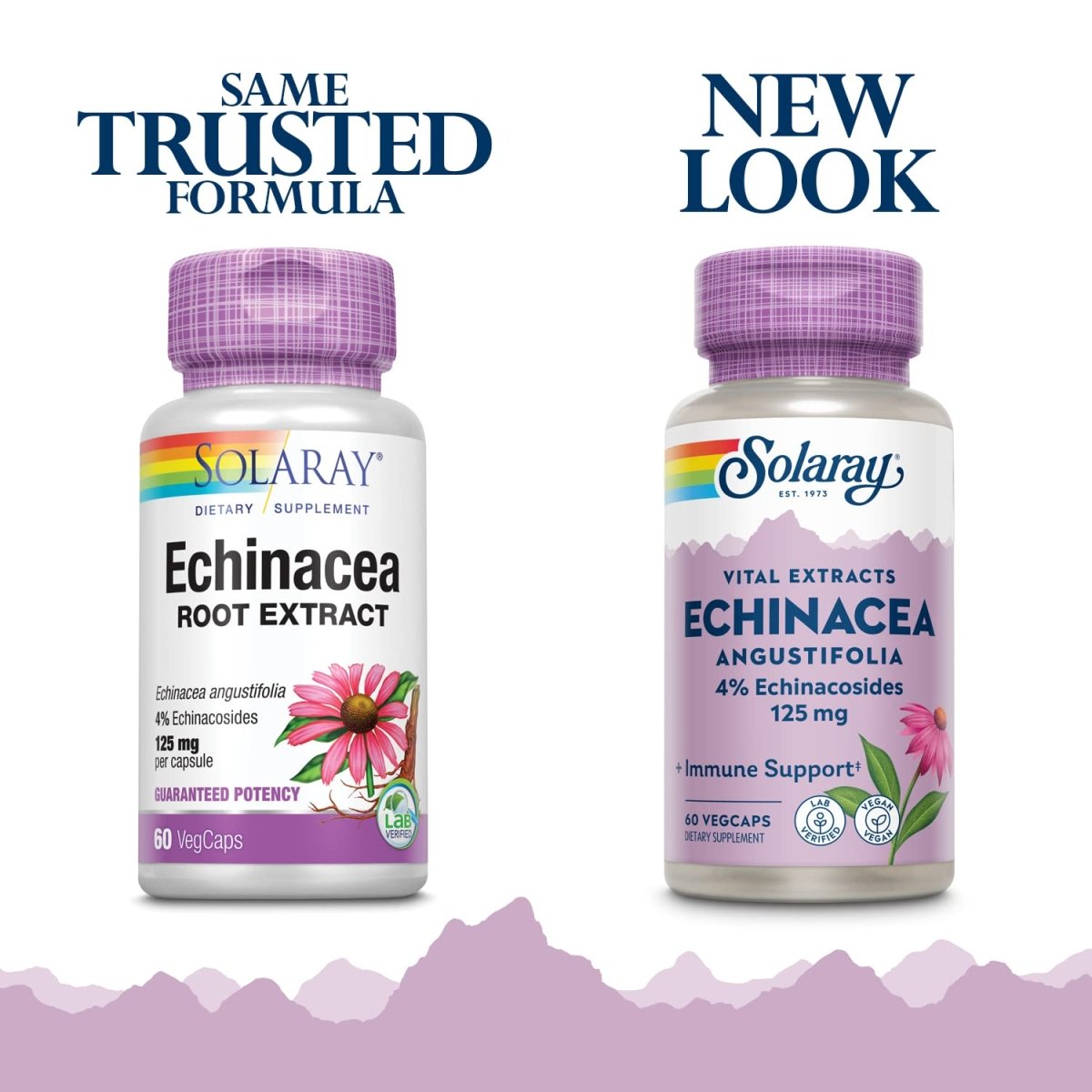 SOLARAY Echinacea Angustifolia Root Extract 125 mg | Healthy Immune & Respiratory Function Support | 60 VegCaps