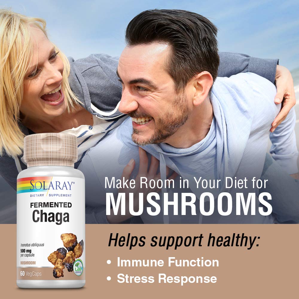 SOLARAY Fermented Chaga Mushroom 500 mg | Healthy Immune Function Support | 30 Servings | 60 VegCaps