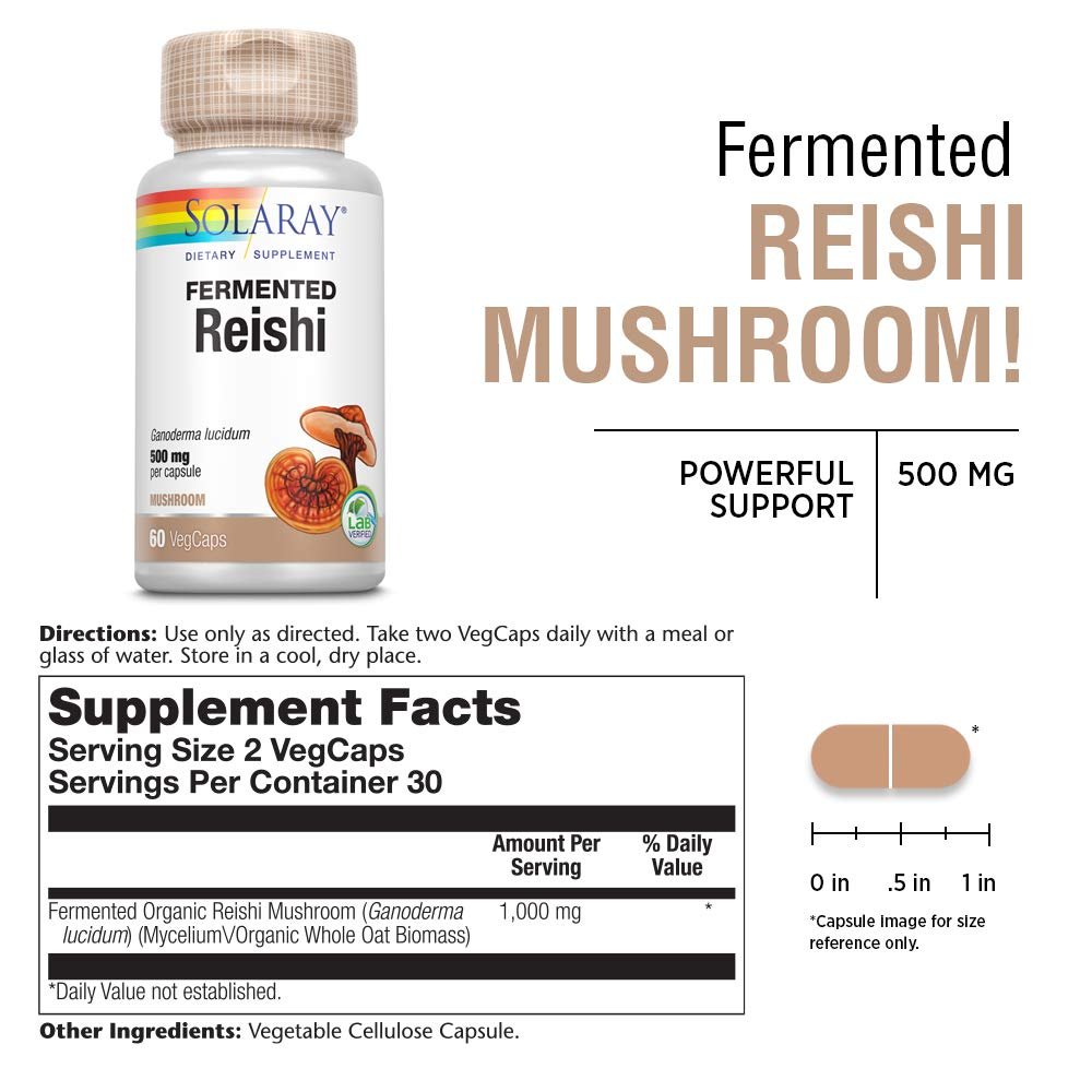 SOLARAY Fermented Reishi Mushroom 500mg | Healthy Immune, Heart & Brain Function Support | Energy & Mood Supplement | 60 VegCaps